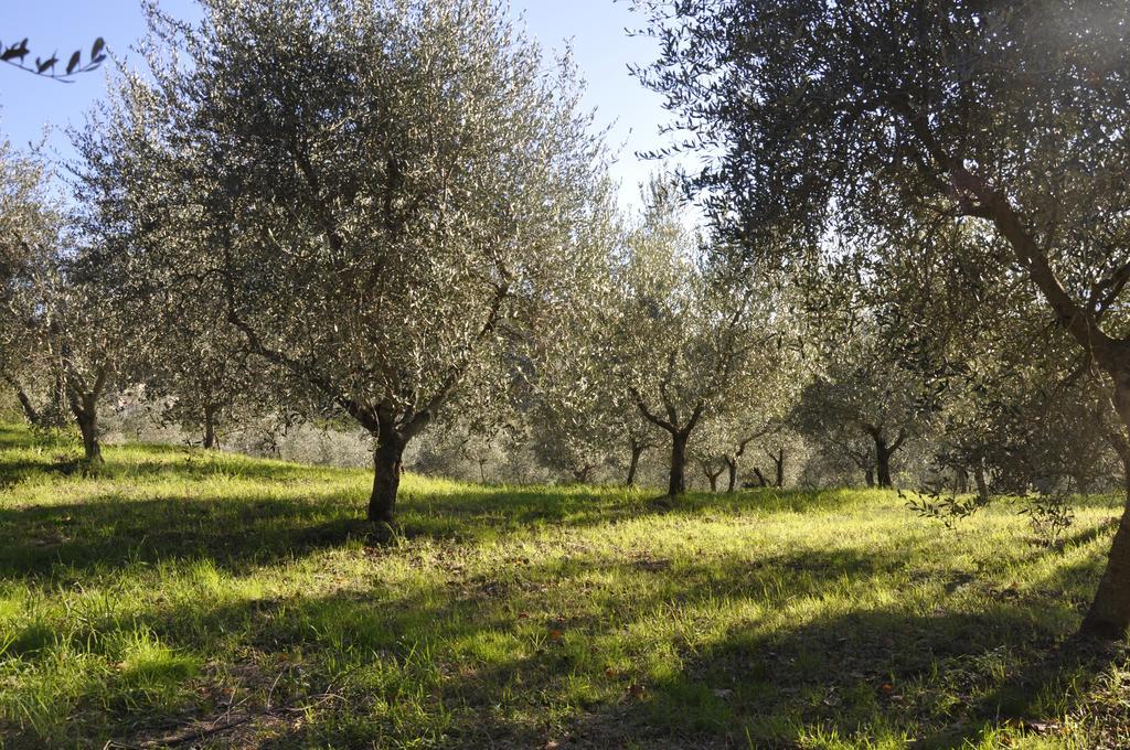 Podere Le Monache Montaione Buitenkant foto