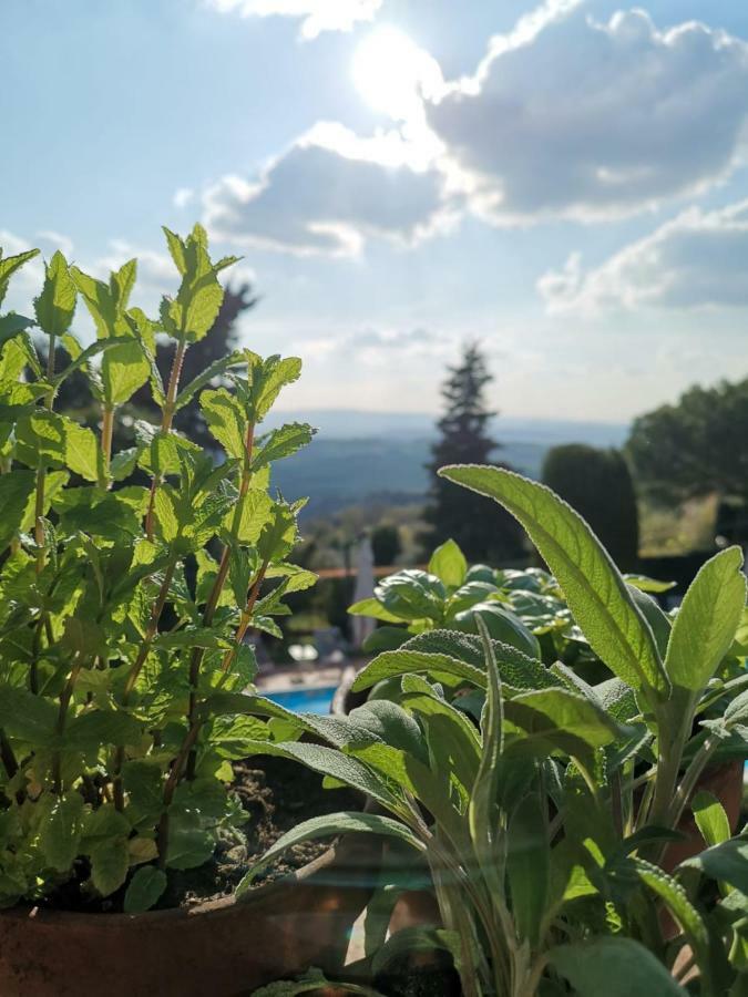Podere Le Monache Montaione Buitenkant foto